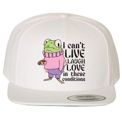 I Cant Live Laugh Love In These Conditions Funny Frog Meme Wool Snapback Cap