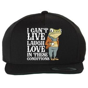 I Cant Live Laugh Love In These Conditions Funny Frog Meme Wool Snapback Cap