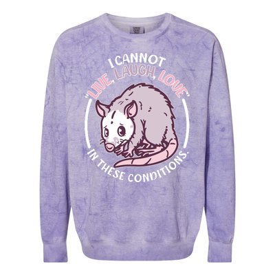 I Cannot Live Laugh Love In These Conditions Opossum Colorblast Crewneck Sweatshirt