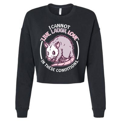 I Cannot Live Laugh Love In These Conditions Opossum Cropped Pullover Crew
