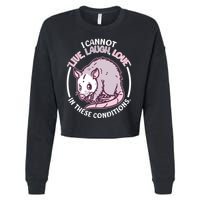 I Cannot Live Laugh Love In These Conditions Opossum Cropped Pullover Crew