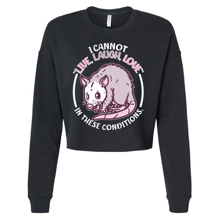 I Cannot Live Laugh Love In These Conditions Opossum Cropped Pullover Crew