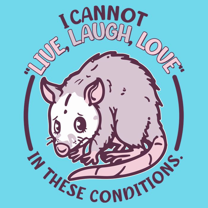 I Cannot Live Laugh Love In These Conditions Opossum T-Shirt