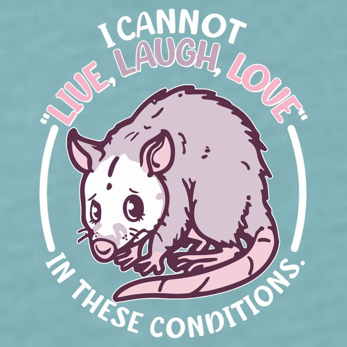 I Cannot Live Laugh Love In These Conditions Opossum Sueded Cloud Jersey T-Shirt