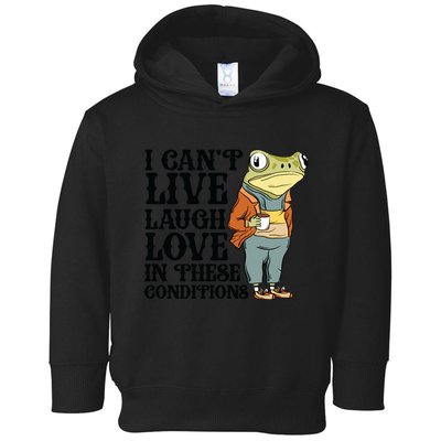 I CanT Live Laugh Love In These Conditions Toddler Hoodie