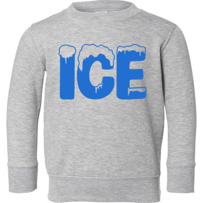 Ice Costume Logo Halloween Toddler Sweatshirt