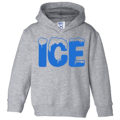 Ice Costume Logo Halloween Toddler Hoodie