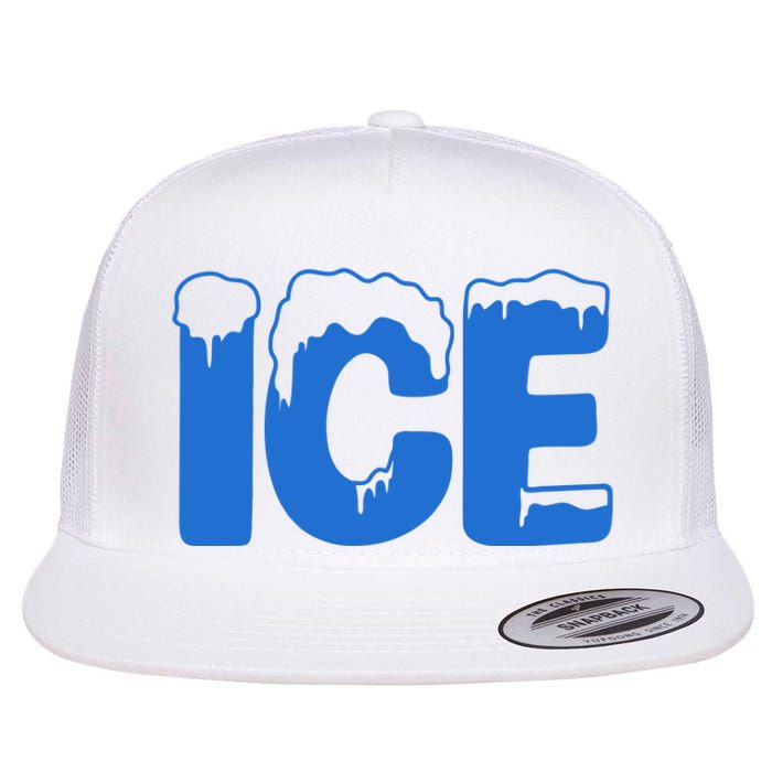 Ice Costume Logo Halloween Flat Bill Trucker Hat