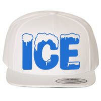 Ice Costume Logo Halloween Wool Snapback Cap