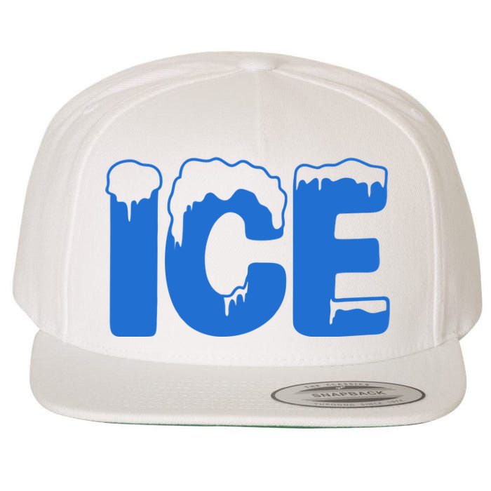 Ice Costume Logo Halloween Wool Snapback Cap