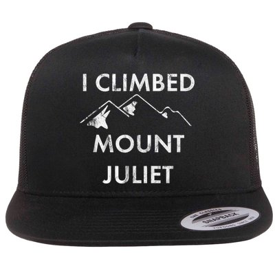 I Climbed Mount Juliet Distressed Funny Flatbill Hat