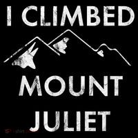 I Climbed Mount Juliet Distressed Funny Youth Performance Sprint T-Shirt