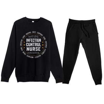 Infection Control Nurse Gifts Appreciation Funny Premium Crewneck Sweatsuit Set