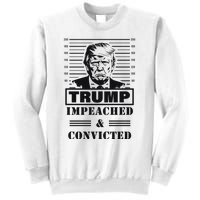 Impeached & Convicted Political Statement Artwork Sweatshirt