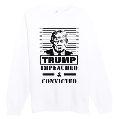 Impeached & Convicted Political Statement Artwork Premium Crewneck Sweatshirt