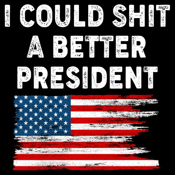 I Could Shit A Better President Distressed USA American Flag Cropped Pullover Crew