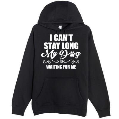 I CanT Stay Long My Dog Is Waiting For Me Funny Dog Lover Premium Pullover Hoodie