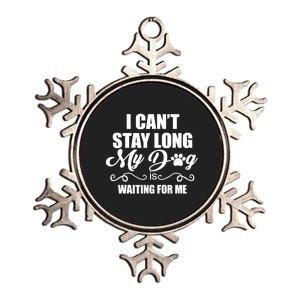 I CanT Stay Long My Dog Is Waiting For Me Funny Dog Lover Metallic Star Ornament