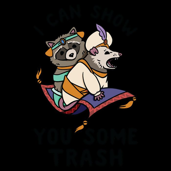 I Can Show You Some Trash, Funny Raccoon And Possum 16oz Travel Tumbler