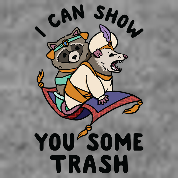 I Can Show You Some Trash, Funny Raccoon And Possum Toddler Sweatshirt