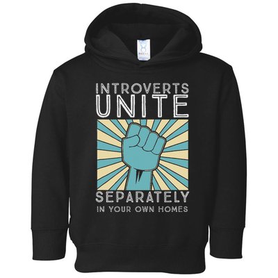 Introverts Combine Separately In Your Houses Toddler Hoodie