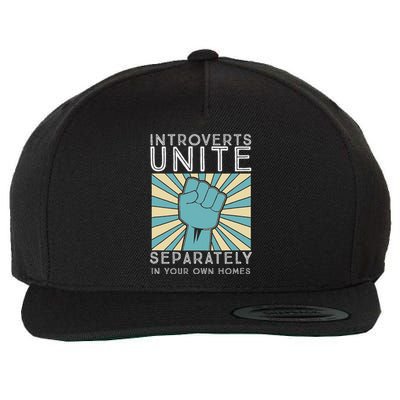 Introverts Combine Separately In Your Houses Wool Snapback Cap