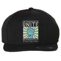 Introverts Combine Separately In Your Houses Wool Snapback Cap