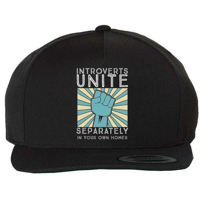 Introverts Combine Separately In Your Houses Wool Snapback Cap