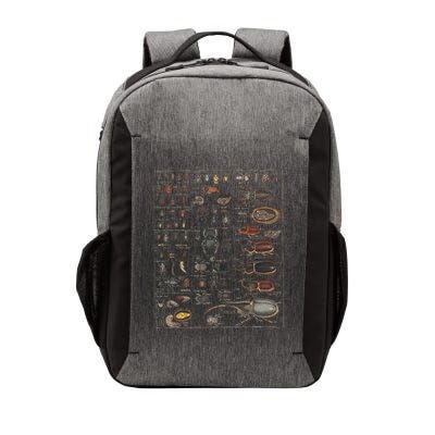 Insect Collection Species Bugs Vector Backpack