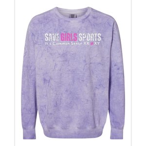 ItS Common Sense Xx Xy Save Sports Sport Lovers Colorblast Crewneck Sweatshirt