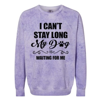 I Cant Stay Long. My Dog Is Waiting For Me Funny Dog Lover Gift Colorblast Crewneck Sweatshirt