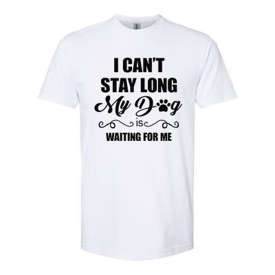 I Cant Stay Long. My Dog Is Waiting For Me Funny Dog Lover Gift Softstyle CVC T-Shirt