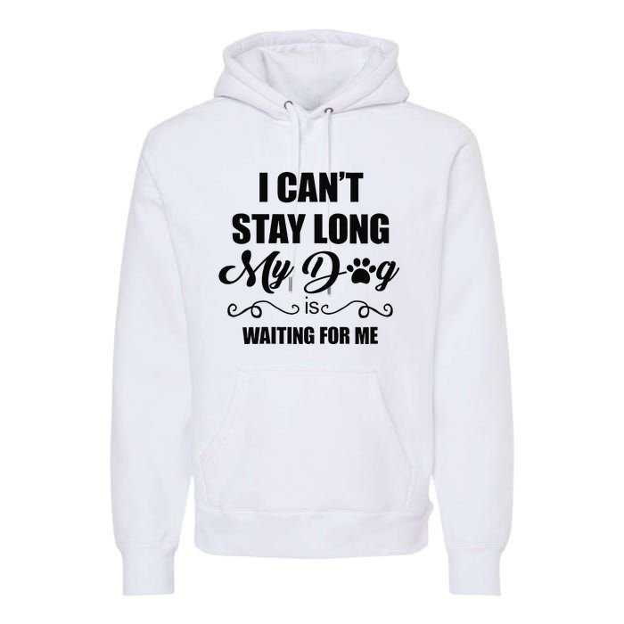 I Cant Stay Long. My Dog Is Waiting For Me Funny Dog Lover Gift Premium Hoodie