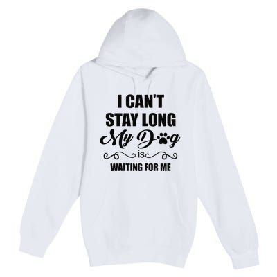 I Cant Stay Long. My Dog Is Waiting For Me Funny Dog Lover Gift Premium Pullover Hoodie