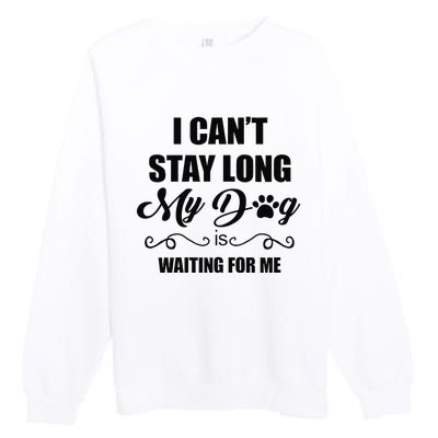 I Cant Stay Long. My Dog Is Waiting For Me Funny Dog Lover Gift Premium Crewneck Sweatshirt