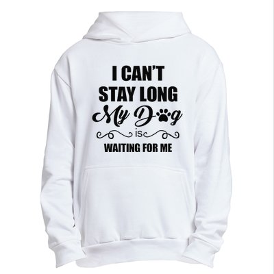 I Cant Stay Long. My Dog Is Waiting For Me Funny Dog Lover Gift Urban Pullover Hoodie