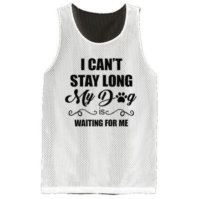 I Cant Stay Long. My Dog Is Waiting For Me Funny Dog Lover Gift Mesh Reversible Basketball Jersey Tank