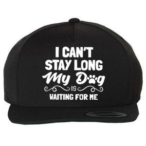 I Cant Stay Long My Dog Is Waiting For Me Wool Snapback Cap