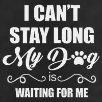 I CanT Stay Long. My Dog Is Waiting For Me Funny Dog Lover Gift Adult Drive Performance Visor