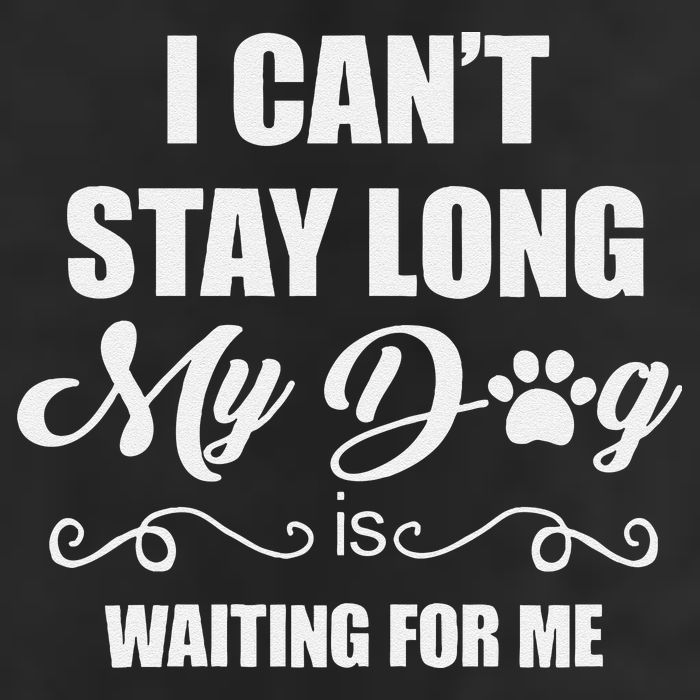 I CanT Stay Long. My Dog Is Waiting For Me Funny Dog Lover Gift Adult Drive Performance Visor