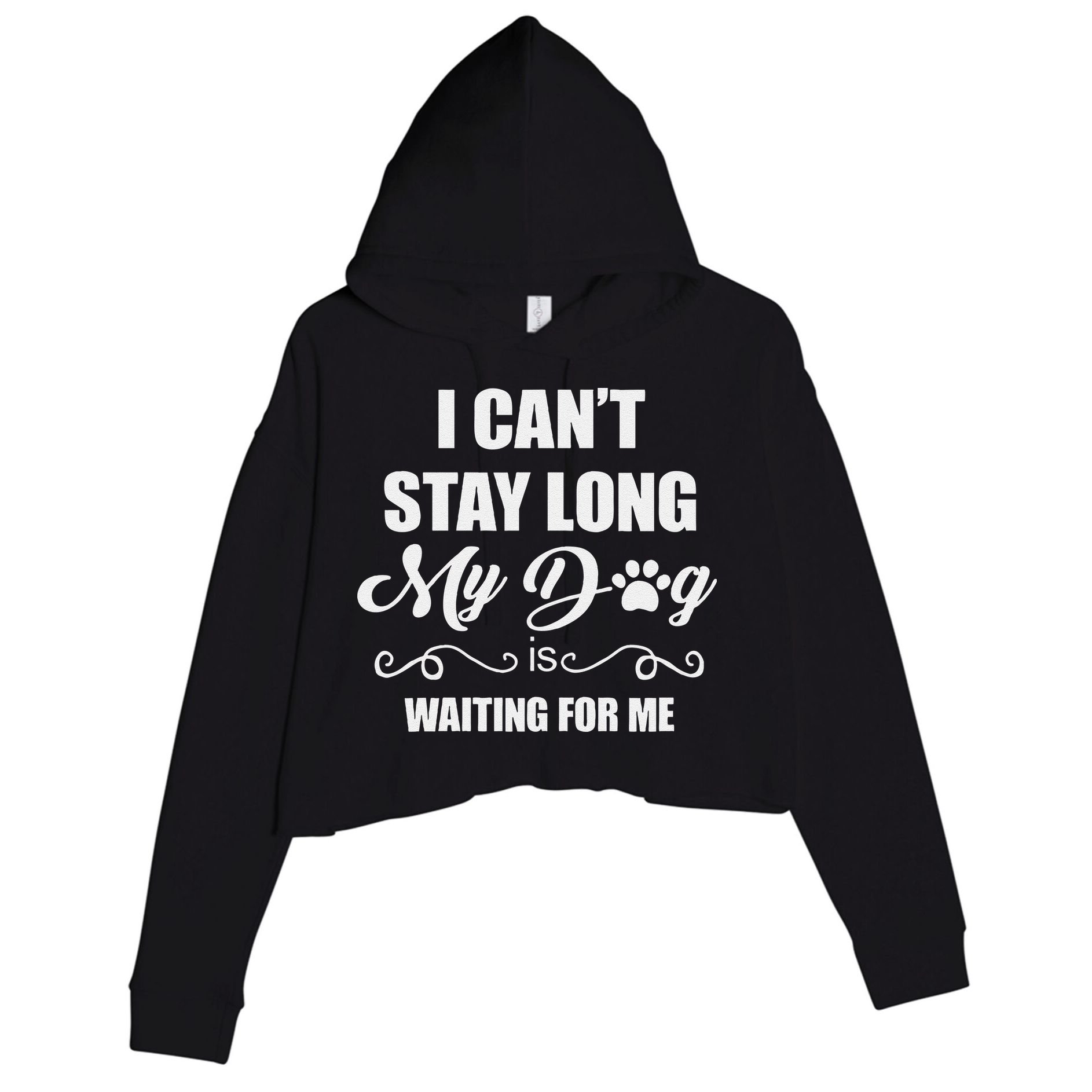 I CanT Stay Long. My Dog Is Waiting For Me Funny Dog Lover Gift Crop Fleece Hoodie