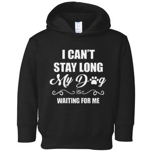 I CanT Stay Long. My Dog Is Waiting For Me Funny Dog Lover Gift Toddler Hoodie