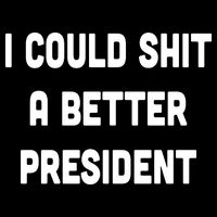 I Could Shit A Better President Poster