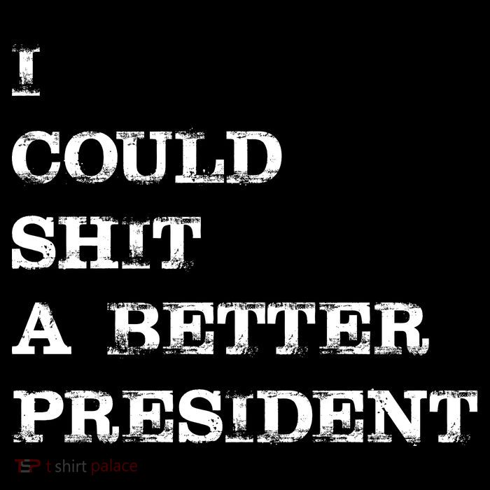 I Could Shit A Better President Funny FJB LGB Flexfit Unipanel Trucker Cap