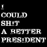 I Could Shit A Better President Funny FJB LGB Poster