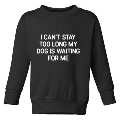 I CanT Stay Too Long My Dog Is Waiting For Me Funny Jokes Toddler Sweatshirt