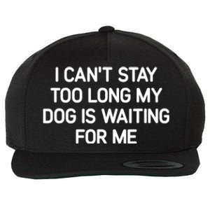 I CanT Stay Too Long My Dog Is Waiting For Me Funny Jokes Wool Snapback Cap