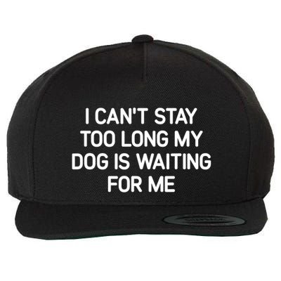 I CanT Stay Too Long My Dog Is Waiting For Me Funny Jokes Wool Snapback Cap