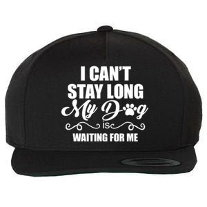 I CanT Stay Long. My Dog Is Waiting For Me Funny Dog Lover Wool Snapback Cap