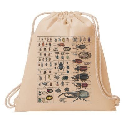 Insects Collection Species Bugs Vintage Chart Entomology Drawstring Bag